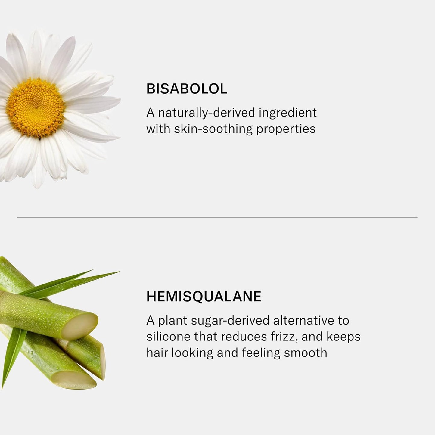 SEEN Shampoo - Scented - Non-Comedogenic & Sulfate-Free Hair Shampoo- Dermatologist-Developed - Safe for Sensitive & Acne Prone Skin