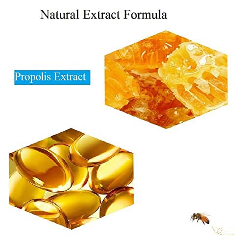 2PCS Lip Balm Honey Pot,Propolis Moisturizing Honey Lip Mask Lip Balm,Hydrating & Prevention Dry and Cracked Lip Scrubs Exfoliator