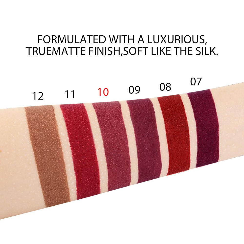 evpct 6Pcs Maroon Red Silky Velvet Matte Liquid Lipstick Lip Gloss Set for Women Long Lasting 24 Hours Color Stay Lipstick labiales matte larga duracion mate 24 horas originales 10#