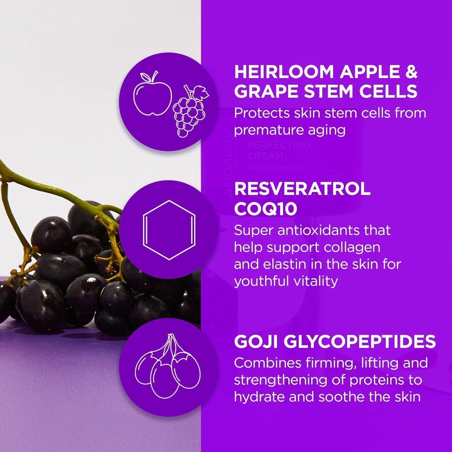 Andalou Naturals Goji Peptide Perfecting Cream - Age Defying Face Moisturizer with Resveratrol, CoQ10 - Supports Skin Collagen and Elastin, Improves Appearance of Wrinkles & Signs of Aging - 1.7 fl oz