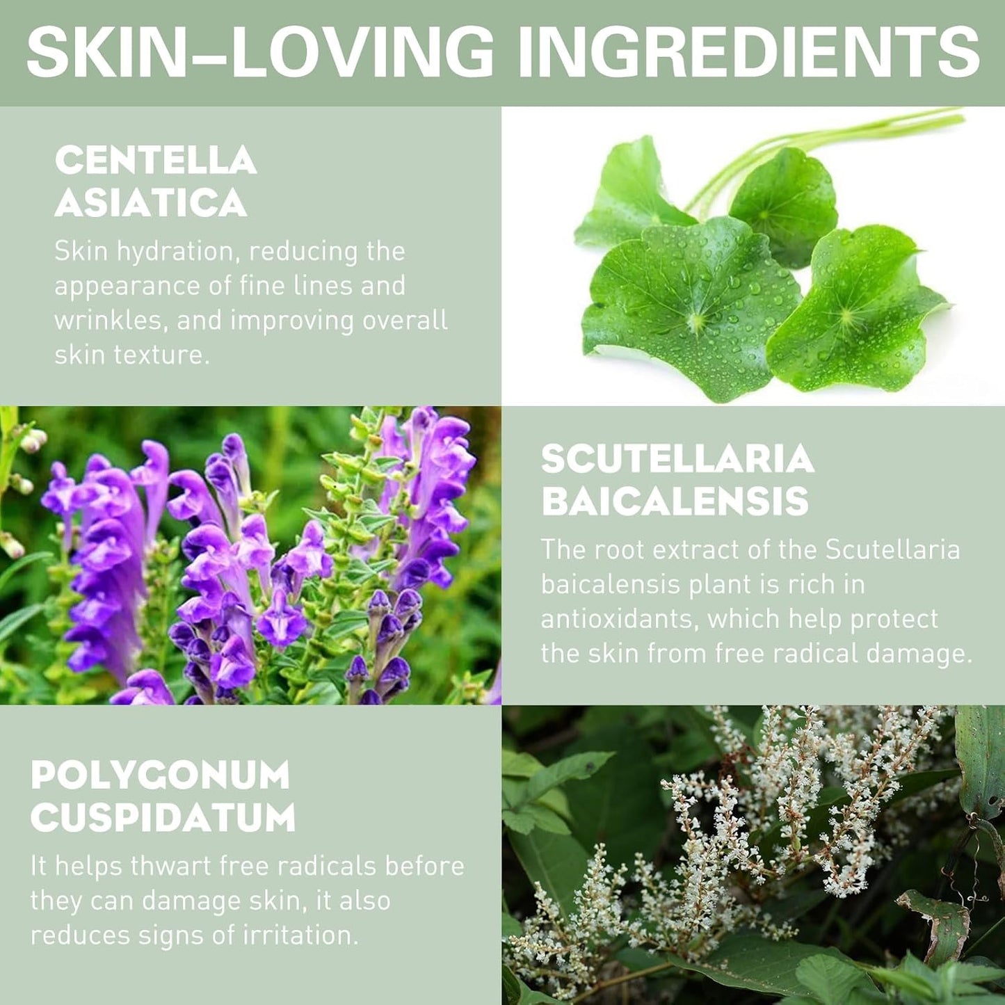 UCANBE Liquid Concealer Stick, Conceals, Covers, Highlights, Medium to Full Coverage Hydrating Color Corrector Face Makeup for Under Eye Dark Circles, Redness, Dullness, Fine Lines - Light-0.3 Fl.oz