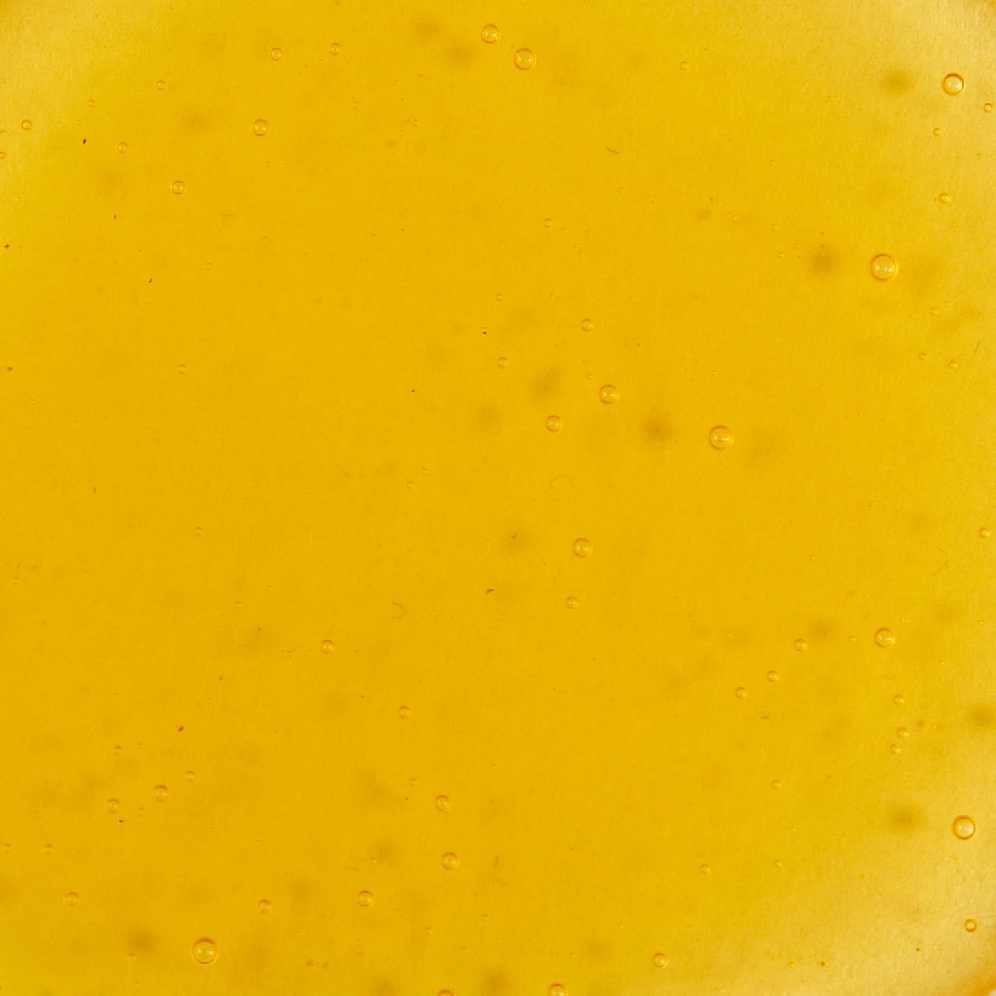 KORA Organics Noni Radiant Hydrating Under Eye Oil Roller, Smooth & Tone, Certified Organic, Cruelty Free Eye Serum - Delicate Eyebag Remover - Travel Essential for Puffy Face & Wrinkes - 0.34 Fl Oz