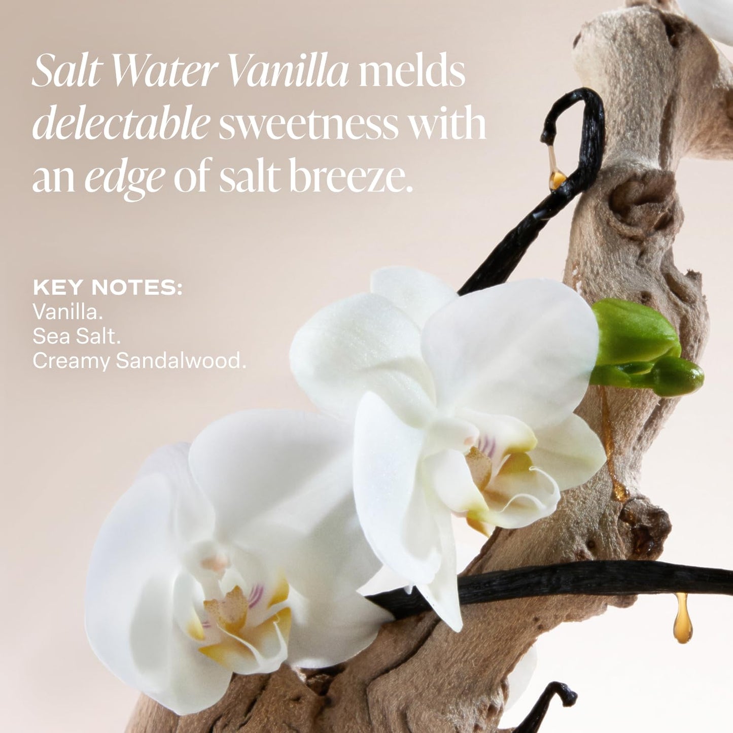 Saltair Body Lotion - 2 Pack Moisturizing Lotion For Dry Skin. Salt Water Vanilla Scented Hydrating Body Cream with Nourishing Moisturizer Formula. Skin Care for Women and Men. 2x 10oz Tubes