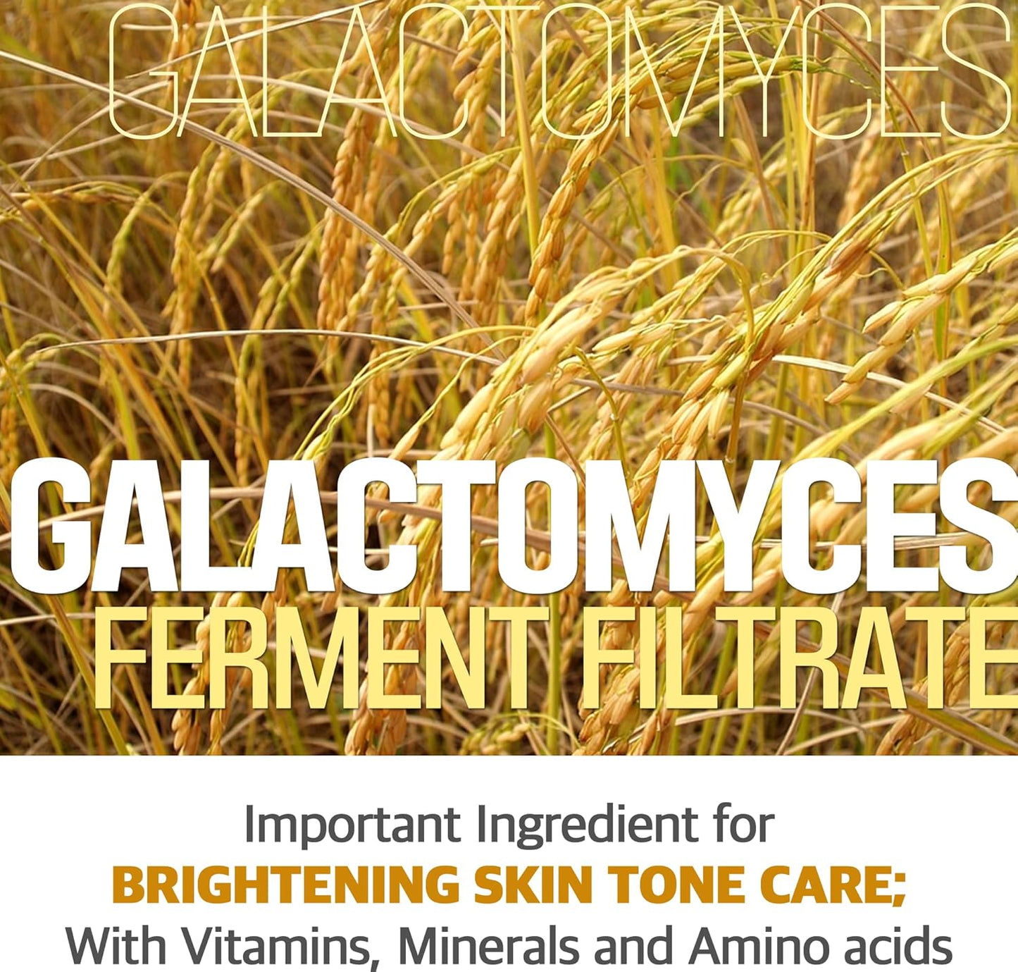 Apple AHA Essence Pad, Green Apple, with AHA, Toner pad, Soothing and Peeling, 60 vegan sheets-for sensitive skin, Hydrating care