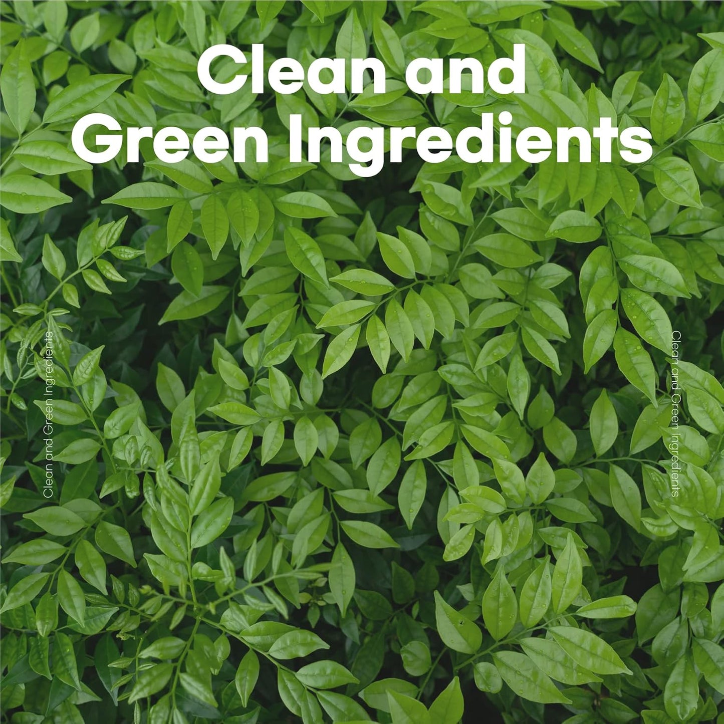 skybottle Hand Cream, Nourishes Very Dry Hands, Korean Hand Lotion, Hand Care for Women & Men, Perfumed with Ylang Ylang, Jasmine, Musk Scent with Shea Butter, 1.7 Fl. Oz