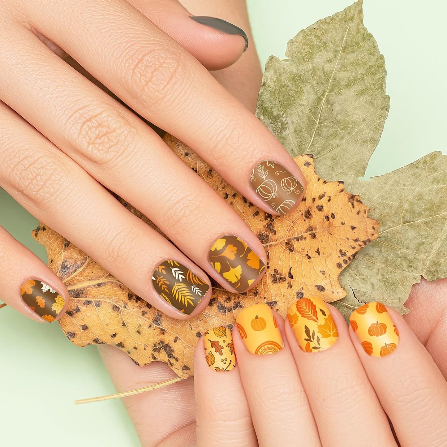 2 Sheet Fall Thanksgiving Nail Art Stamping Plate Kit Assorted Pumpkins Maple Leaves Autumn Blessing Collection Nail Art Plate for Holiday DIY Print Manicure Salon, 5.7 x 3.7inch