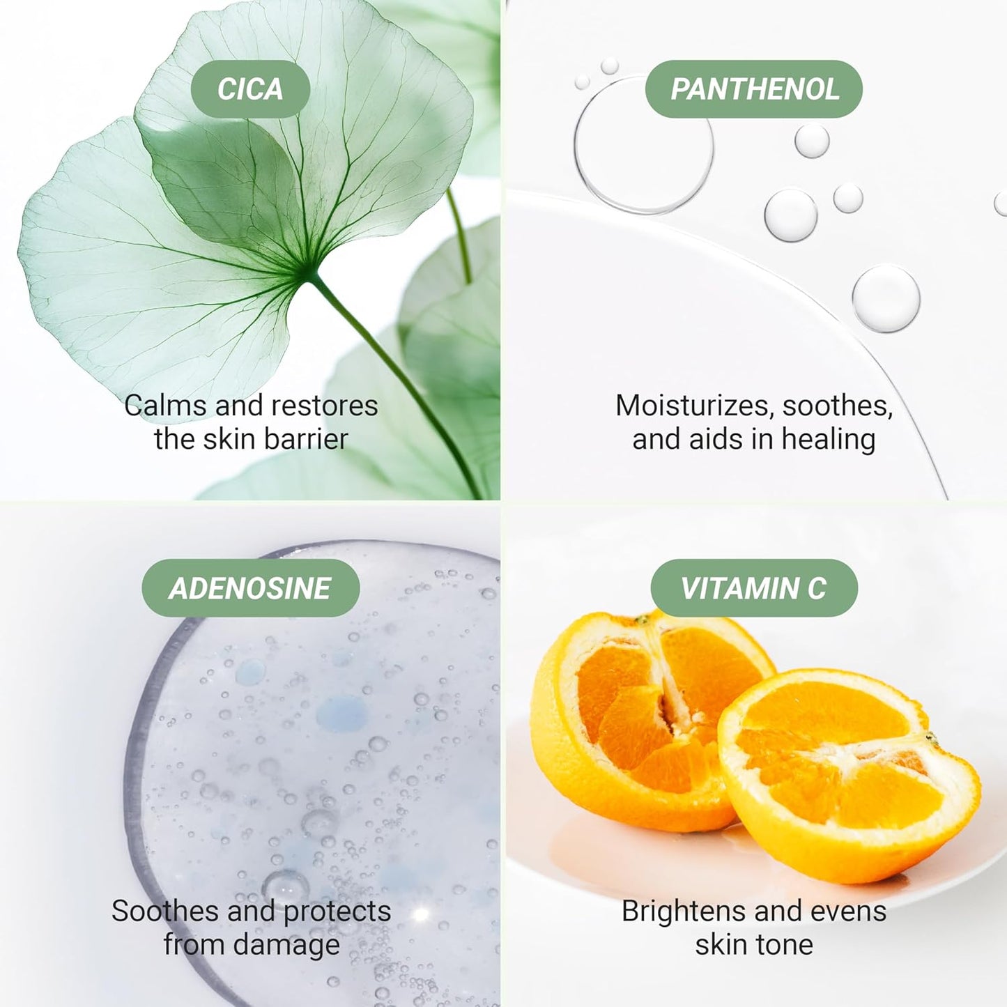 Meebak Korean Vitamin C Serum | Brightening Dark Spot Remover | Soothing Anti Aging & Skin Brightening w/Centella Asiatica, Panthenol, & Adenosine