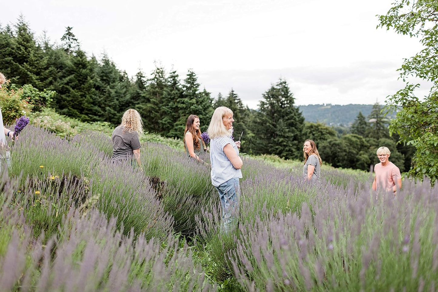 Victoria's Lavender Natural Body Products Gift Set - Handmade Soap, Hand & Body Lotion, Lip Balm, Body Candle Skin Care Sets & Kits, Lavender Bath and Body Products for Women, Lavender Lemongrass