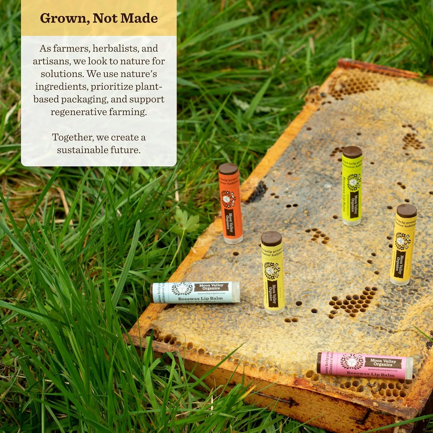 Moon Valley Organics Beeswax Lip Balm for Moisturizing Lips and Cuticles (SWEET HONEY, 6-Pack)